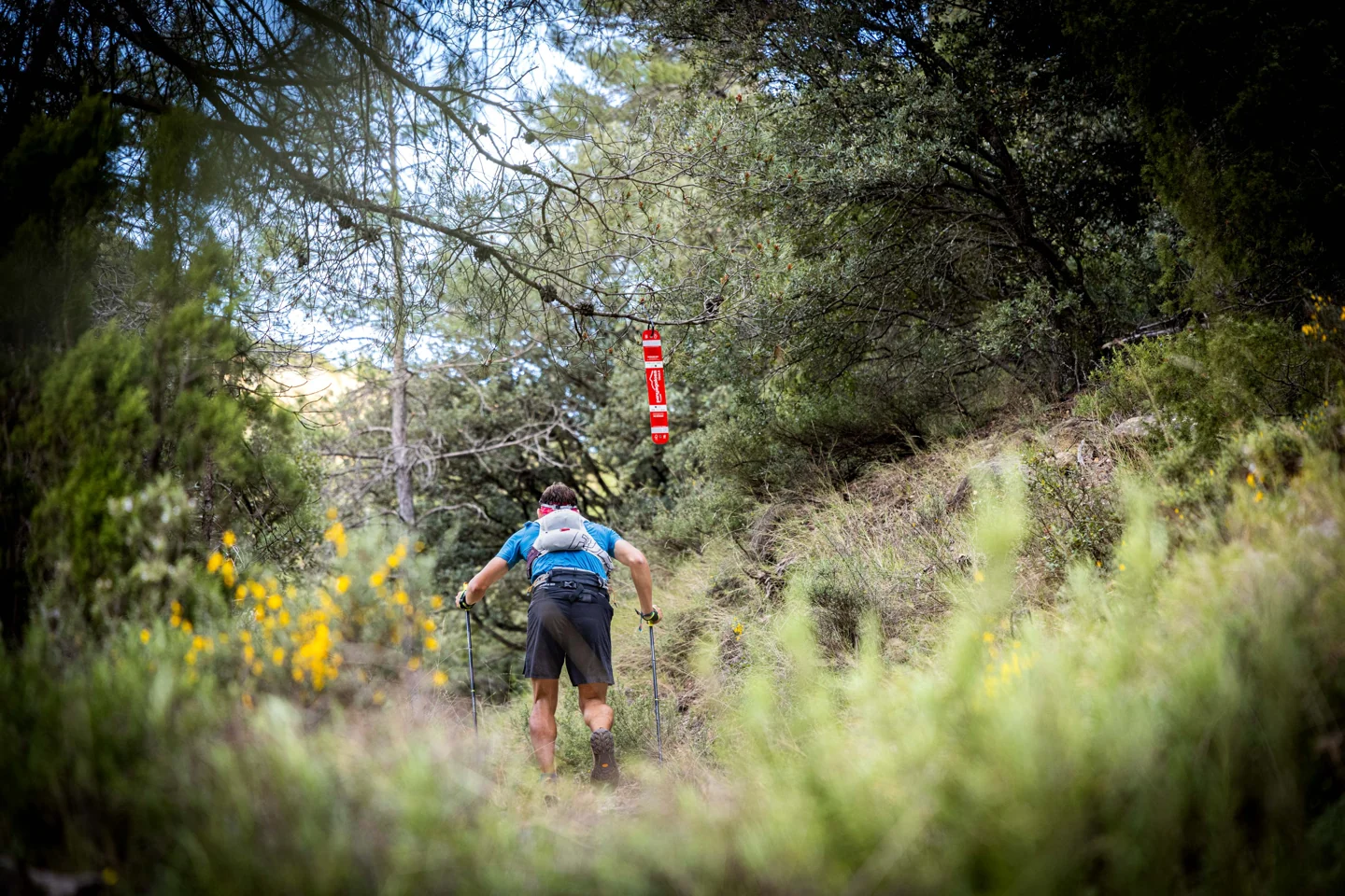 Corredor siguiendo un sendero entre arbustos y árboles